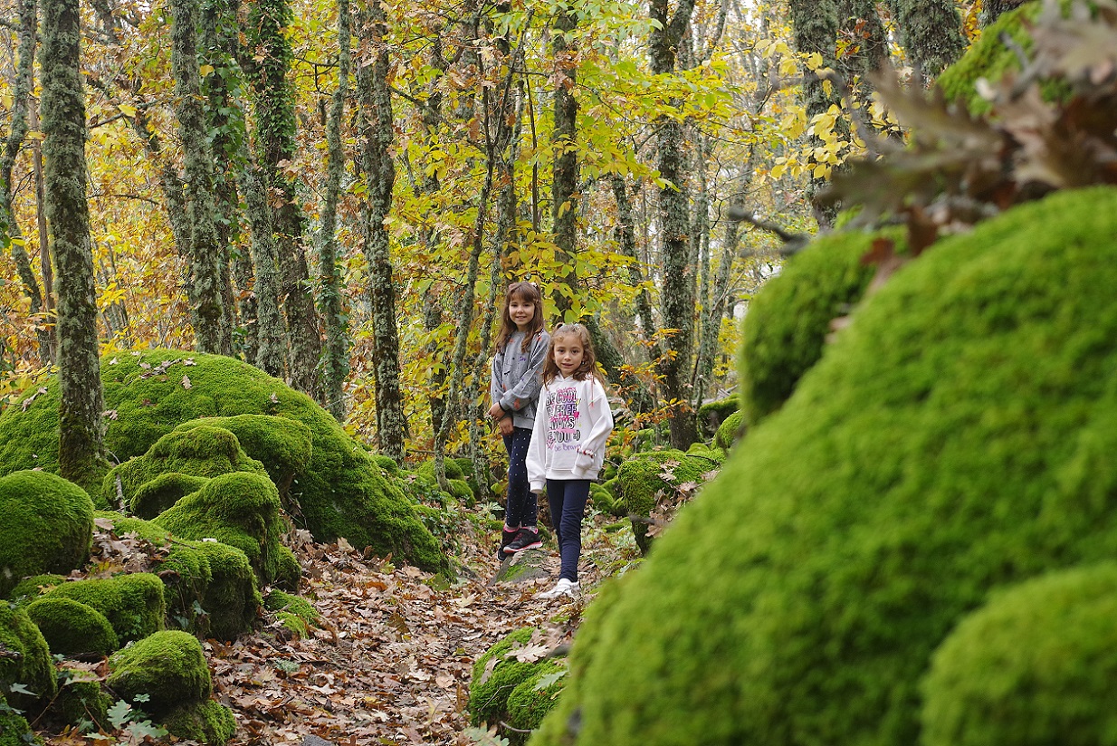 Castañar de Puerto de Béjar, Salamanca