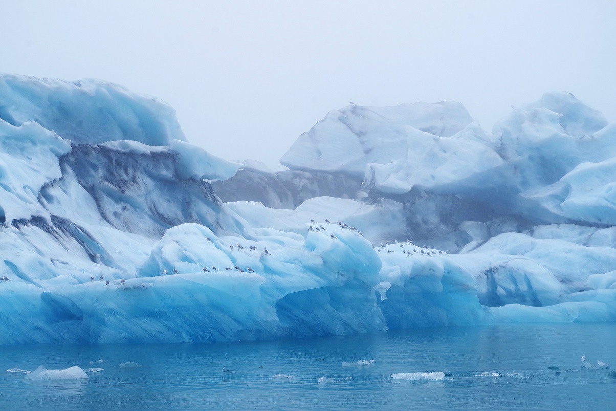 Islandia, Laguna glaciar Jökulsárlón